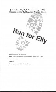 Run for Elly